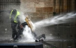 "Gilets jaunes" se protégeant des canons à eau, à Bordeaux, le 26 janvier 2019
