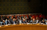Le Conseil de sécurité des Nations unies le 8 octobre 2016