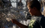 Un enfant syrien, originaire de la province de Deraa, dans un camp de fortune près de la ville de Nasib, frontalière de la Jordanie, le 2 juillet 2018