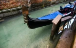 Les eaux claires des canaux de Venise, en raison de l'absence de touristes et l'arrêt des embarcations, le 17 mars 2020