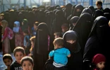 Des femmes et des enfants dans le camp d'al-Hol qui accueille des proches de combattants présumés du groupe État islamique (EI), le 26 août 2022 dans le nord-est de la Syrie