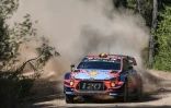 Le Belge Thierry Neuville au volant de sa Hyundai i20 lors de la dernière étape du Rallye de Turquie, le 15 septembre 2019 à Gokce dans le district de Marmaris