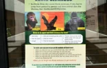 Une affiche "Maladie à virus Ebola" apposée à l’entrée principale du bureau du ministre de la Santé, à Abuja, le 6 août 2014 au Nigeria