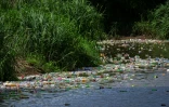 Des déchets plastiques flottants sur la rivière Juan Diaz, à Panama, le 1er octobre 2024