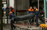 Des civières sorties de la station de métro de Maalbeek le 23 mars 2016 à Bruxelles