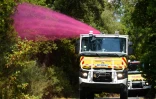 Des pompiers arrossent les arbres de retardant pour éviter une reprise de feu, le 20 août 2021 à La Garde-Freinet, dans le Var