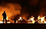 Des tonnes d'ivoire incinérées le 30 avril 2016 dans le parc national de Nairobi