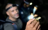 Pablo Sinovas, de l'ONG Fauna & Flora, avec un lézard en main dans une grotte de Phnom Proek, dans la province de Battambang, au Cambodge, le 22 juillet 2025