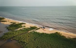 Une vue aérienne montre la déforestation de la mangrove à la lisière du littoral, près de Hamilton, le 12 avril 2026, en Sierra Leone