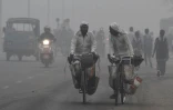 Des Indiens à vélo, un jour de forte pollution à New Delhi, le 7 novembre 2017