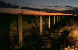 Une clôture délimitant une propriété à Sao Felix do Xingu, en Amazonie brésilienne, le 21 juin 2025