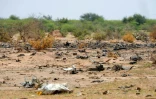 Des débris sur le sol après le crash de l'avion d'Air Algérie, le 26 juillet 2014, dans la région de Gossi, au Mali
