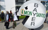 Manifestation contre le rachat de Monsanto par le groupe allemand Bayer, le 25 mai 2018 à Bonn (Allemagne)
