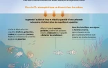 Acidification des océans