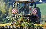 Un agriculteur français récolte du maïs à bord d'une désileuse, près de Belleme, le 4 octobre 2024, dans l'ouest de la France 