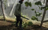 Un agriculteur travaille à la ferme agro-écologique "La Burgambilia" à Caimito, dans la province d'Artemisa, le 25 juin 2026 à Cuba