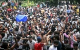 Des partisans du "parti des cafards" célèbrent à New Delhi la démission du ministre indien de l'Education, Dharmendra Pradhan, dont les étudiants exigeaient le départ en raison d'une série de fraudes aux examens universitaires, le 25 juillet 2026