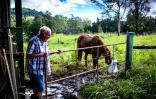 Ron Maher à sa ferme, le 15 mai 2022 à Lismore, en Nouvelles Galles du Sud, région australienne touchée trois mois plus tôt par des inondations catastrophiques