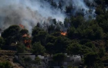 Un feu de forêt s'approche de maisons à Keratea, près d'Athènes, le 30 juin 2024 en Grèce