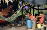 Des enfants au campement des indigènes Nukak près de San José de Guaviare, le 5 novembre 2021 en Colombie