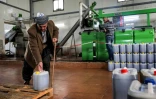 Un kurde irakien remplit des jerricans d'huile d'olive à partir d'arbres réimplantés dans le Kurdistan irakien et venant de Syrie, le 22 février 2020 à Arbil