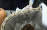 Vente de truffes le 20 décembre 2015 sur le  marché de Rognes