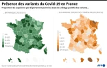 Proportion des variants en France parmi les tests de criblage positifs au Covid-19, au 12 mars