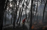 Un pompier éteint un reste d'incendie dans la zone de Casais do Vento à Alvaiazere (centre du portugal), le 10 juillet 2022