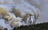 Un avion Canadair largue une cargaison d'eau sur un incendie de forêt à Dervenochoria, au nord-ouest d'Athènes, le 19 juillet 2023
