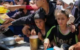 Des enfants palestiniens font la queue pour obtenir un repas chaud lors d'une distribution assurée par une cuisine soldiaire au camp de réfugiés de Nousseriat, dans le centre de la bande de Gaza, le 5 mai 2025