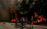 Des pompiers grecs tentent d’éteindre un incendie de forêt dans la région de Porto Germeno, à quelque 70 kilomètres au nord-ouest d’Athènes, dans la région de la Viotia, le 2 août 2026