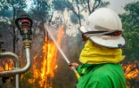 Des pompiers luttent contre un incendie dans la région touristique de Margaret River, le 8 décembre 2021 en Australie