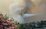 Un Canadair lâche de l'eau sur un incendie à Castagniers, près de Nice (France), le 17 juillet