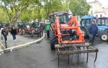 Manifestation à Nîmes de plusieurs centaines d' agriculteurs pour dénoncer "l'agribashing" les pratiques de la grande distribution et la concurrence déloyale, le 22 octobre 2019