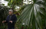 Roman Ivannikov, chef du département des plantes tropicales et subtropicales du jardin botanique national Gryshko de l'Académie nationale des sciences d'Ukraine, lors d'une interview avec l'AFP dans la serre du jardin, le 11 février 2026 à Kiev