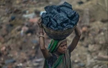Une femme transporte du charbon d'une mine à ciel ouvert à la périphérie de Dhanbad, le 6 juillet 2023 en Inde