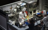 Le chef français Jeremy Cheminade lors de la compétition des Bocuse d'Or, le 21 septembre 2015 à Paris