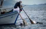 Des plongeurs et bénévoles de l'ONG Enaleia collectent des filets abandonnés au large de l'île de Salamine, en Grèce, le 26 mai 2023
