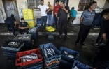 Des pêcheurs palestniens exposent leur pêche avant de les vendre au marché des poissons, le 22 septembre 2021 à Gaza