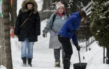 Une froide journée d'hiver à Montréal, le 29 janvier 2019