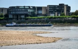 Le lit du Rhin partiellement asséché, le 25 juillet 2022 à Düsseldorf, en Allemagne
