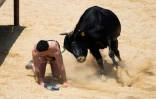 Lâcher de taureaux à Denia, près d'Alicante en Espagne, le 14 juillet 2022