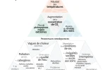Les multiples impacts du changement climatique