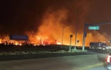 Un incendie à Lahaina le 9 août 2023