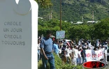 Mercredi 21 mai 2003 - Plus de 5 000 personnes ont manifesté à Saint-Denis pour le maintien des emplois aidés. Des rencontres ont eu lieu avec les élus du conseil général, notamment. Une brève tension a eu lien en fin de manifestation avec les forces de p