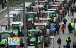 Des tracteurs garés près du Parlement européen lors de manifestations d'agriculteurs contre l'accord de libre-échange entre l'UE et les pays du Mercosur, le 20 janvier 2026 à Strasbourg