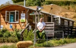 Le vigneron Florian Weingart au milieu de son vignoble de Spay, dans l'ouest de l'Allemagne, le 14 août 2026 