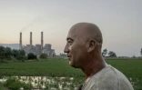 "La population n'avait d'autre choix que de travailler à la centrale", estime Okan Goktas, habitant du village de Yatagan