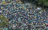 Des manifestants anti-gouvernementaux Ă Hong Kong, le 21 juillet 2019