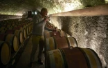 Thierry Brouin, régisseur du domaine des Lambrays en Bourgogne
